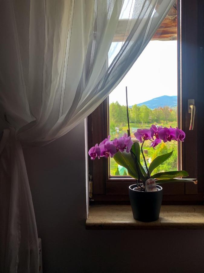 Po Drodze Daire Stronie Śląskie Dış mekan fotoğraf
